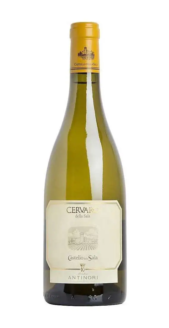 Cervaro della Sala 2024 Antinori