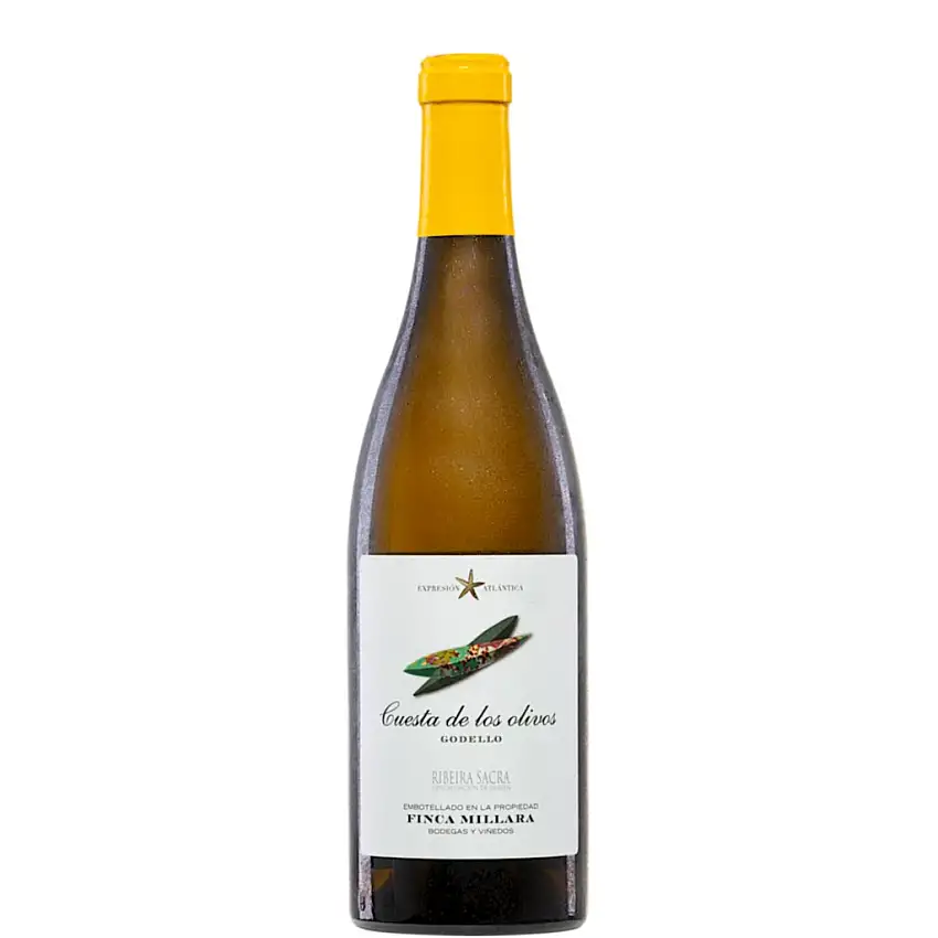2024 Cuesta de los olivos Godello