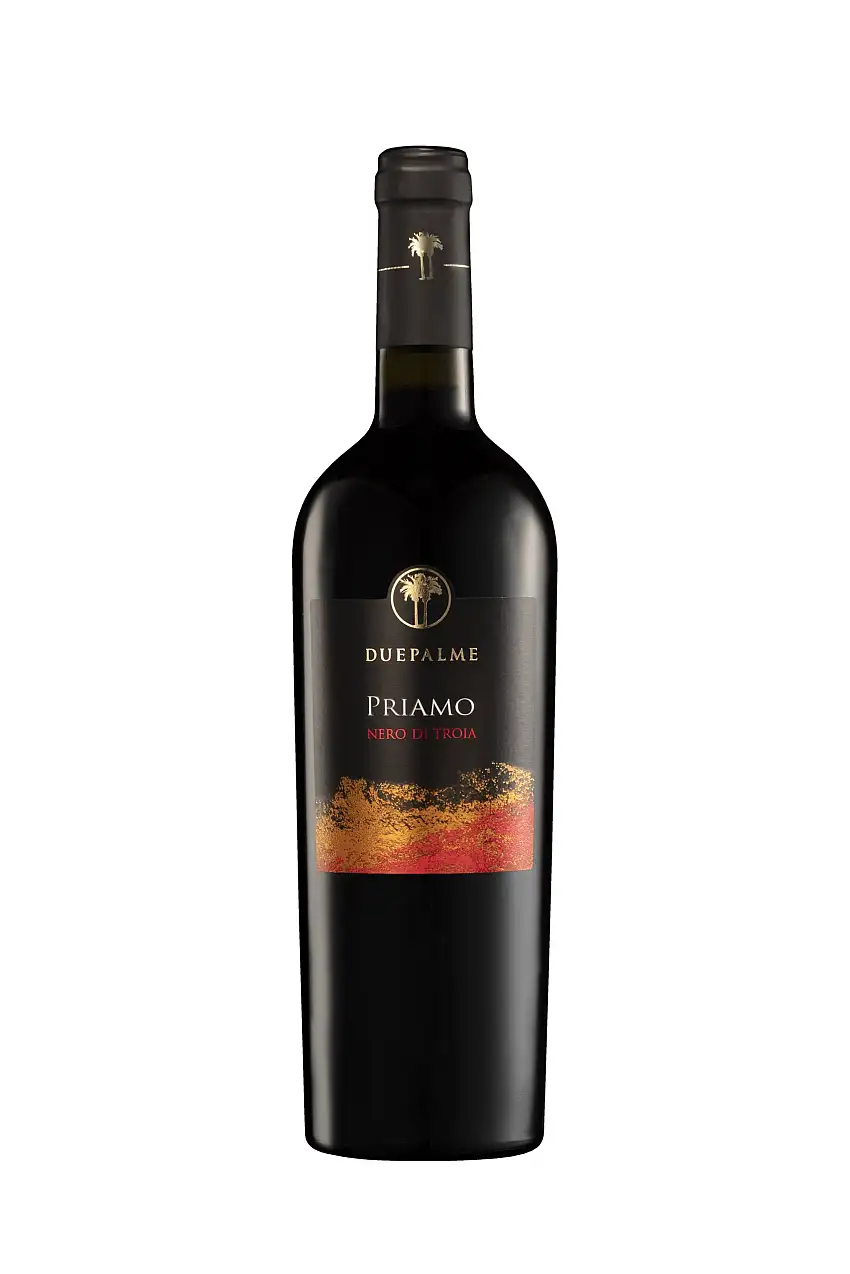 Puglia Nero di Troia Puglia IGP 0,75l 14% | Due Palme