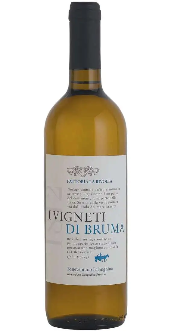 Falanghina „Weinberge von Bruma“ BIO Fattoria La Rivolta