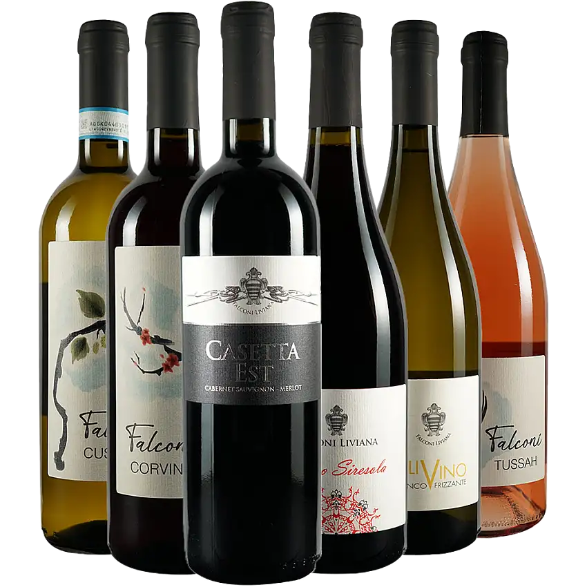 Falconi Liviana Kennenlern-Paket - Azienda Agricola Falconi Liviana