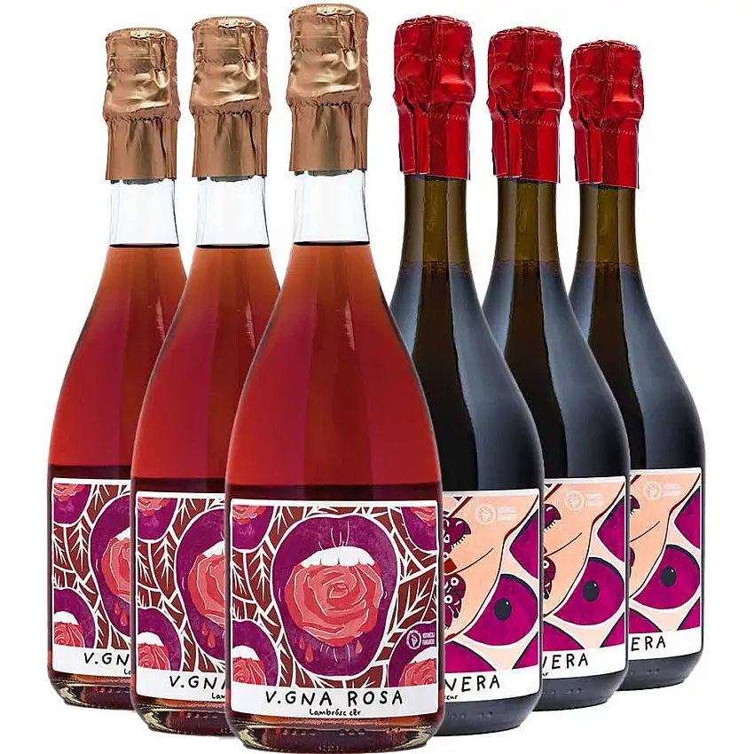 Fangareggi Kennenlern-Paket - Vitivinicola Fangareggi