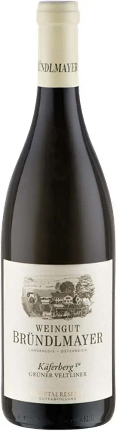 Grüner Veltliner Käferberg DAC Reserve 2022 | Bründlmayer | Bei Weingrube.com bestellen