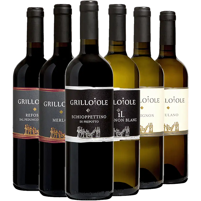 Grillo Iole Kennenlern-Paket - Società Agricola Grillo Iole