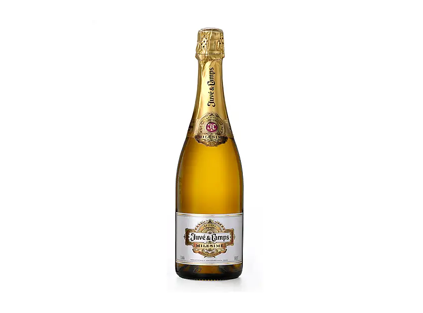 Juve y Camps Milesime Brut Blanco