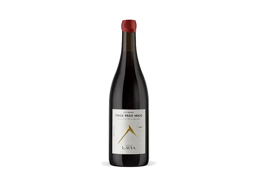 Lavia Finca Paso Malo 2019