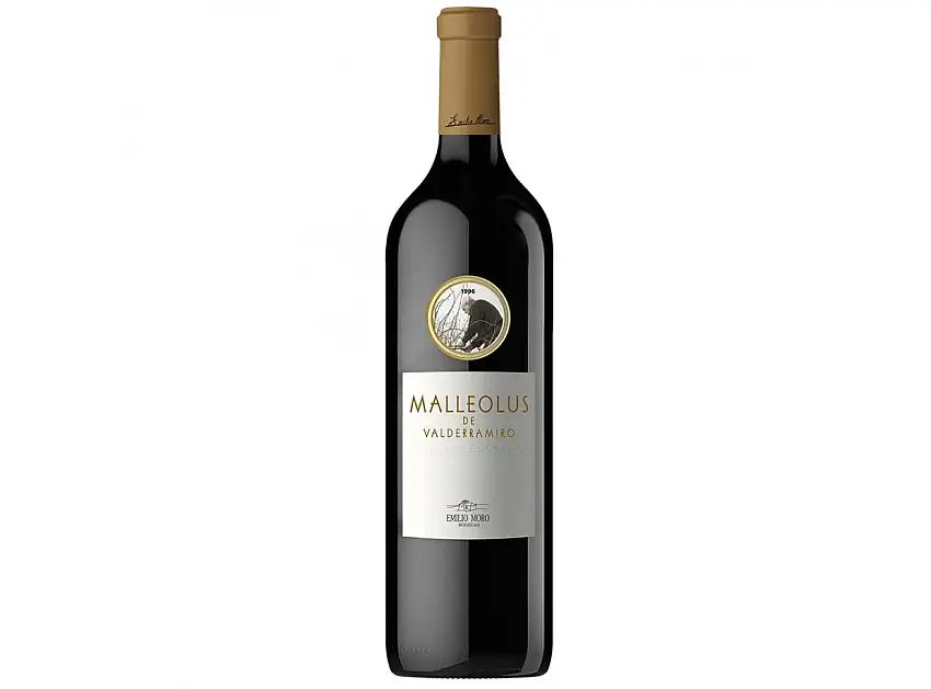 Malleolus Valderramiro 2020