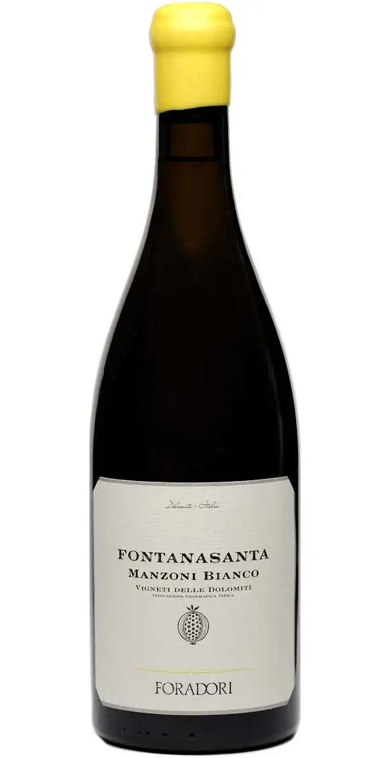 Manzoni Bianco FONTANASANTA BIO FORADORI
