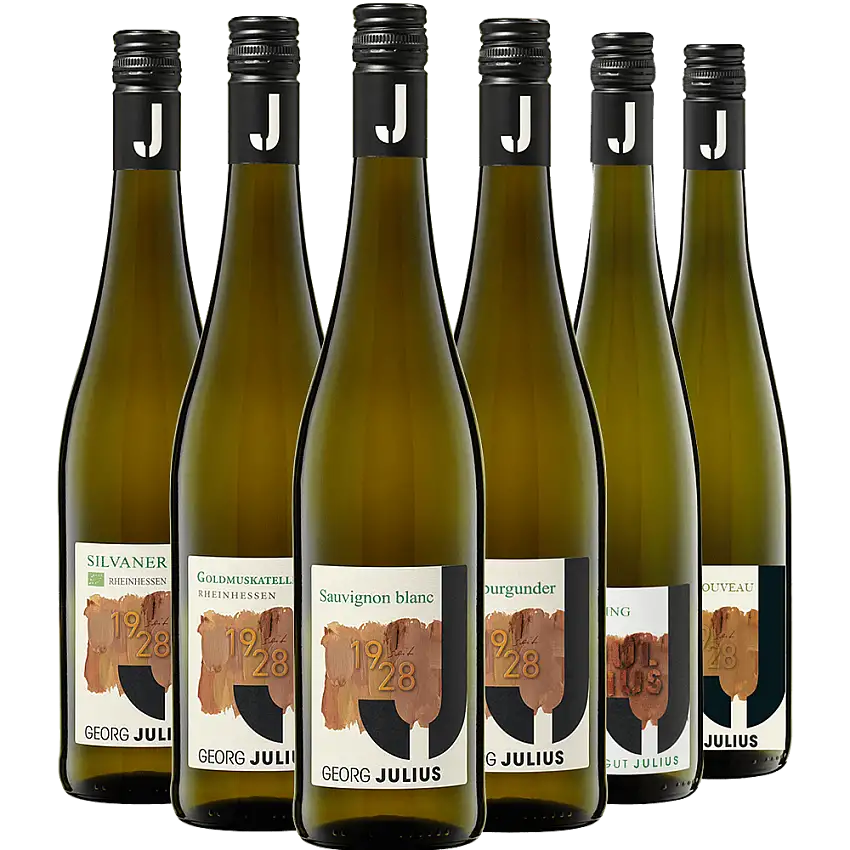 Meet Georg Julius: Weisswein Kennlernpaket - Weingut Julius