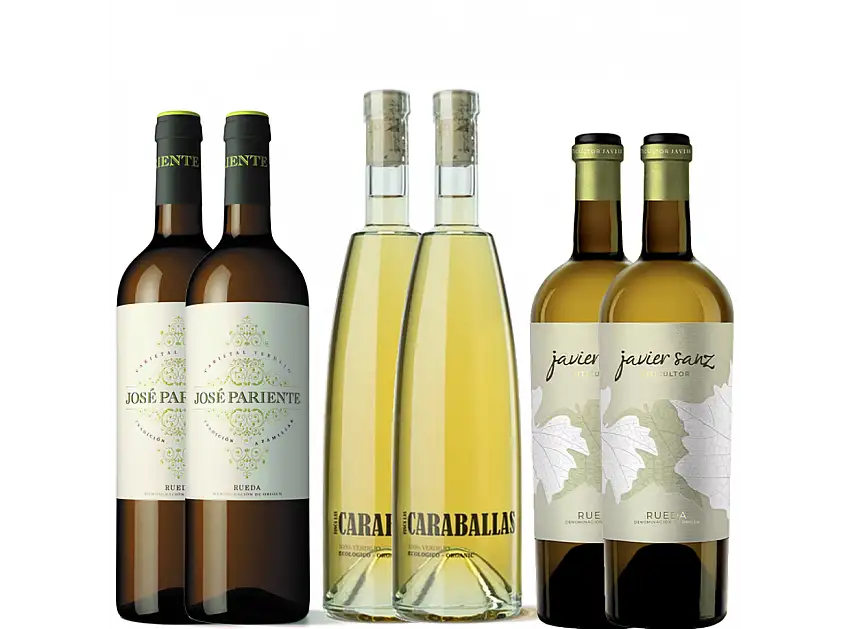 Pack 6 botellas Verdejo