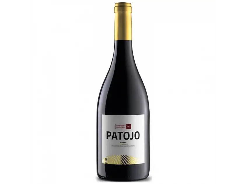 PATOJO 2020