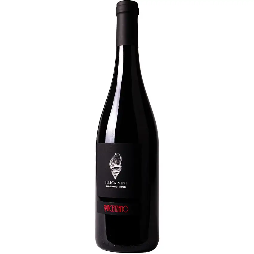 2020 Piacenziano Gutturnio DOC Bio - Azienda Vitivinicola Illica