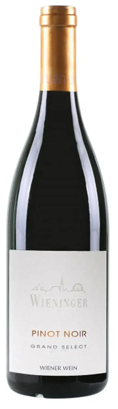 Pinot Noir Grand Select 2022 | Wieninger | Bei Weingrube.com bestellen
