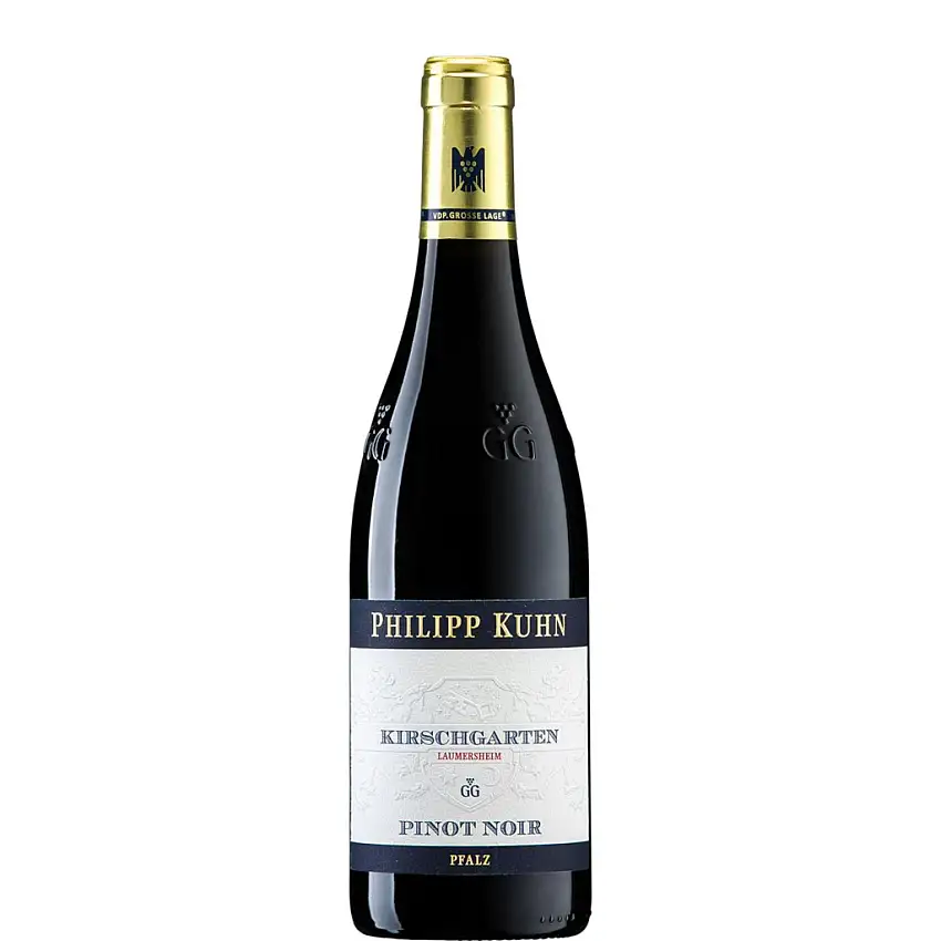 2020 Pinot Noir Kirschgarten GG dry