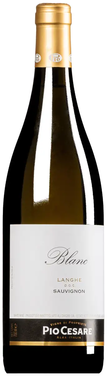 “Blanc” Sauvignon Bianco Langhe DOC 2023