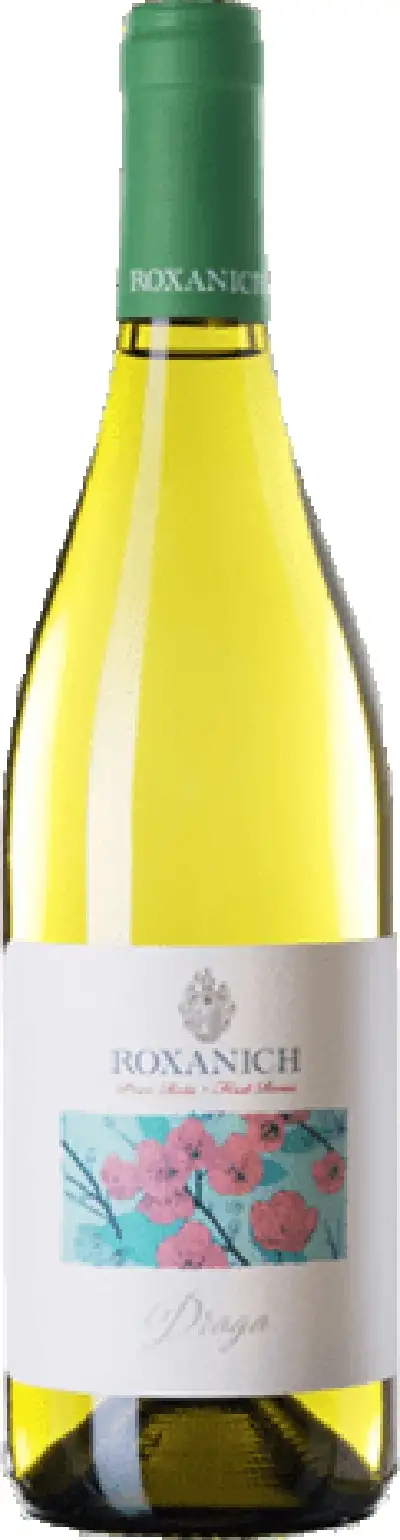 Pinot Blanc Draga 2017