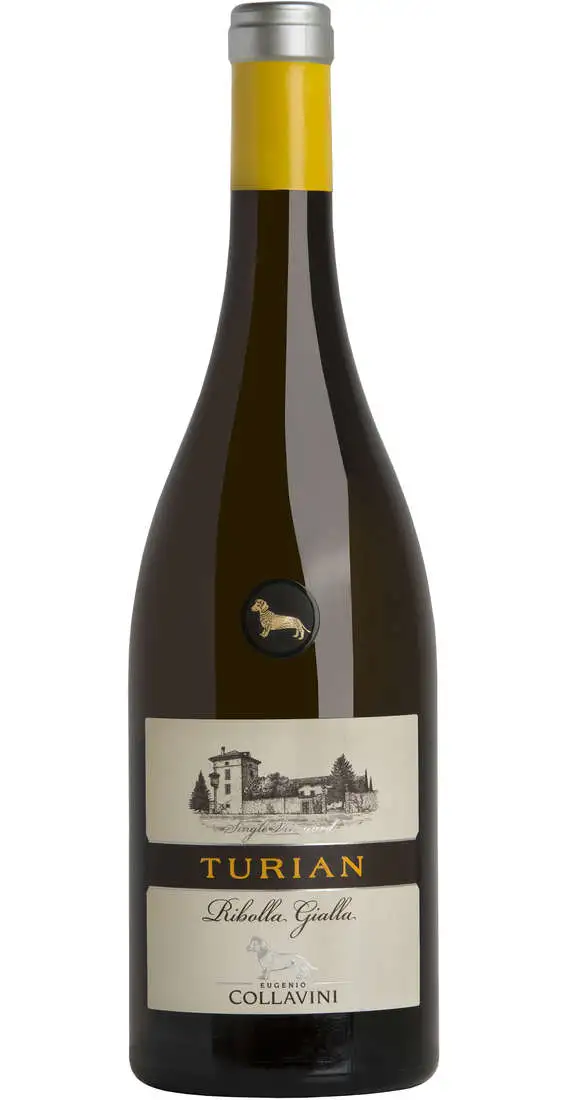 Ribolla Gialla „TURIAN“ DOC COLLAVINI