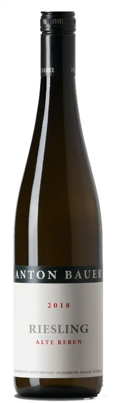 Riesling Alte Reben 2015 | Anton Bauer | Bei Weingrube.com bestellen