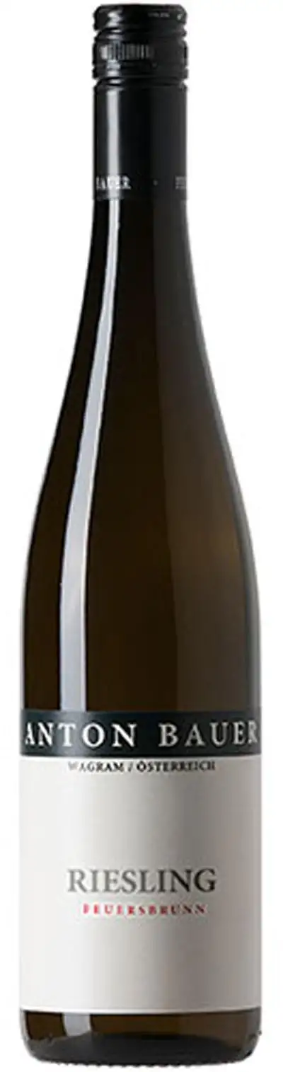 Riesling Feuersbrunn 2023 | Anton Bauer | Bei Weingrube.com bestellen
