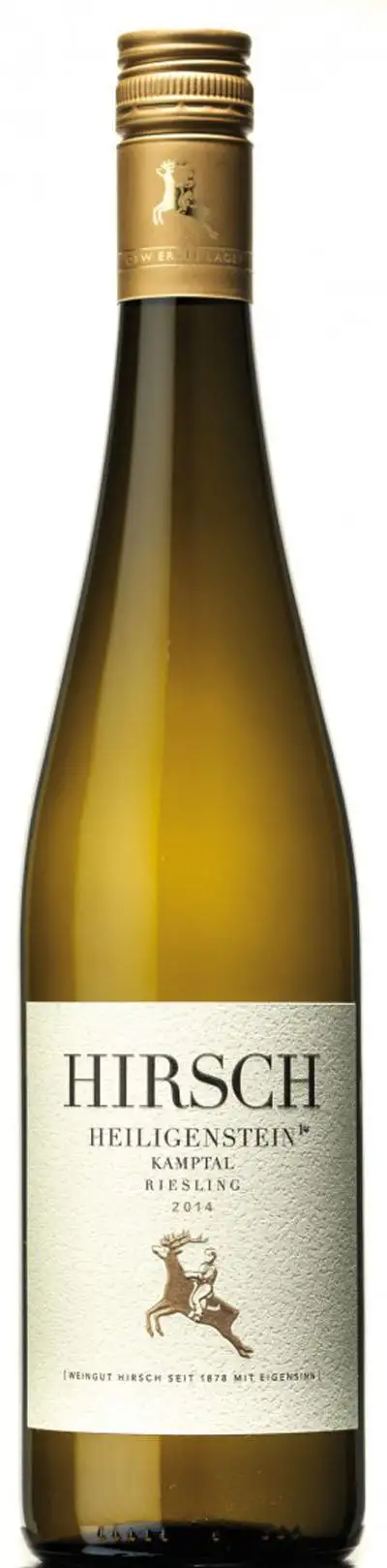 Riesling Heiligenstein Kamptal DAC Reserve 2020 | Hirsch Johannes | Bei Weingrube.com bestellen
