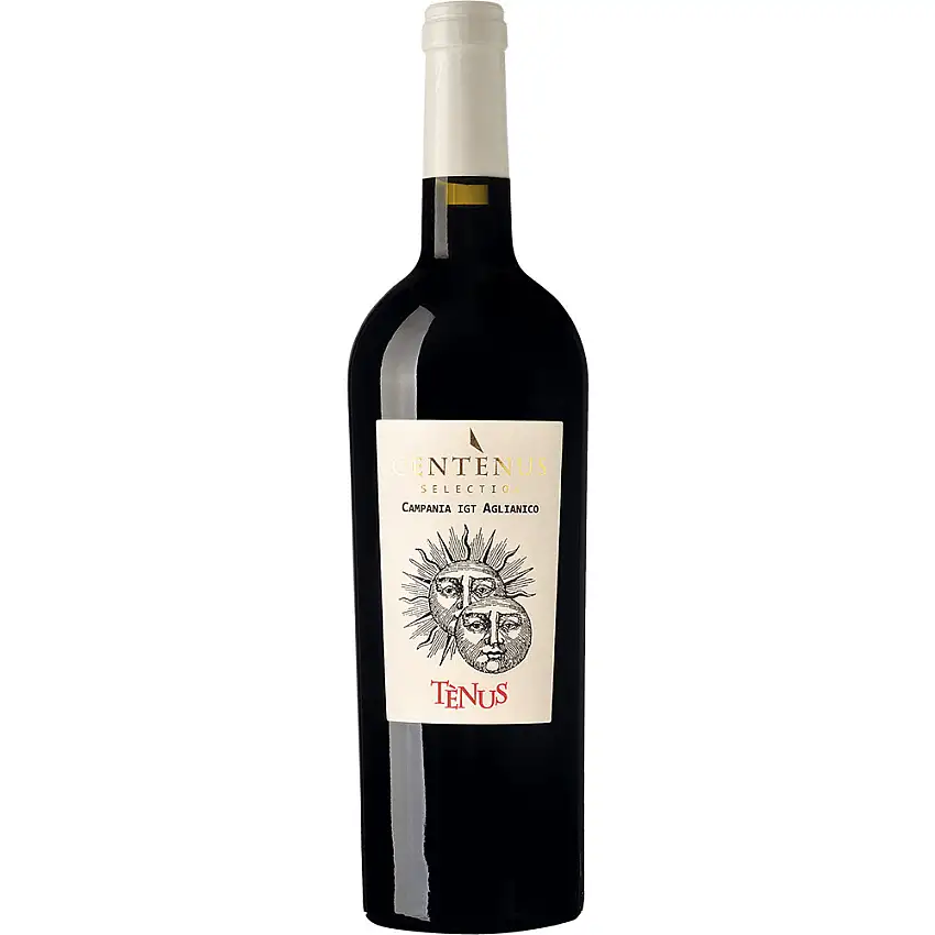 2021 "Rosso Tau" Irpinia Aglianico DOC trocken - Sella delle Spine