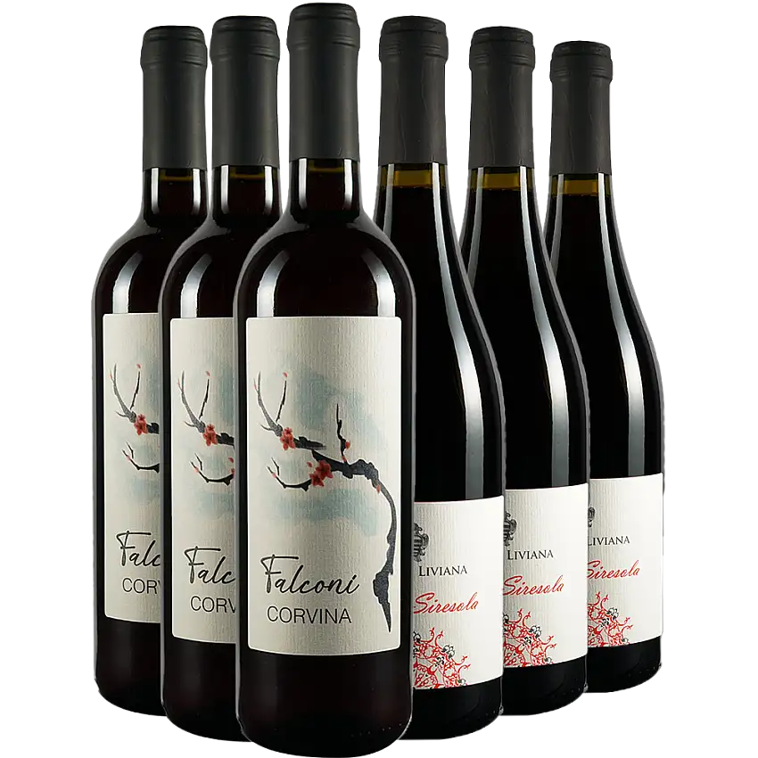 Rotwein Kennenlern-Paket - Azienda Agricola Falconi Liviana