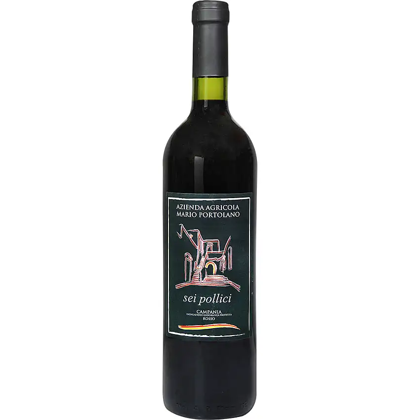 2020 Sei Pollici Aglianico Barrique trocken - Mario Portolano