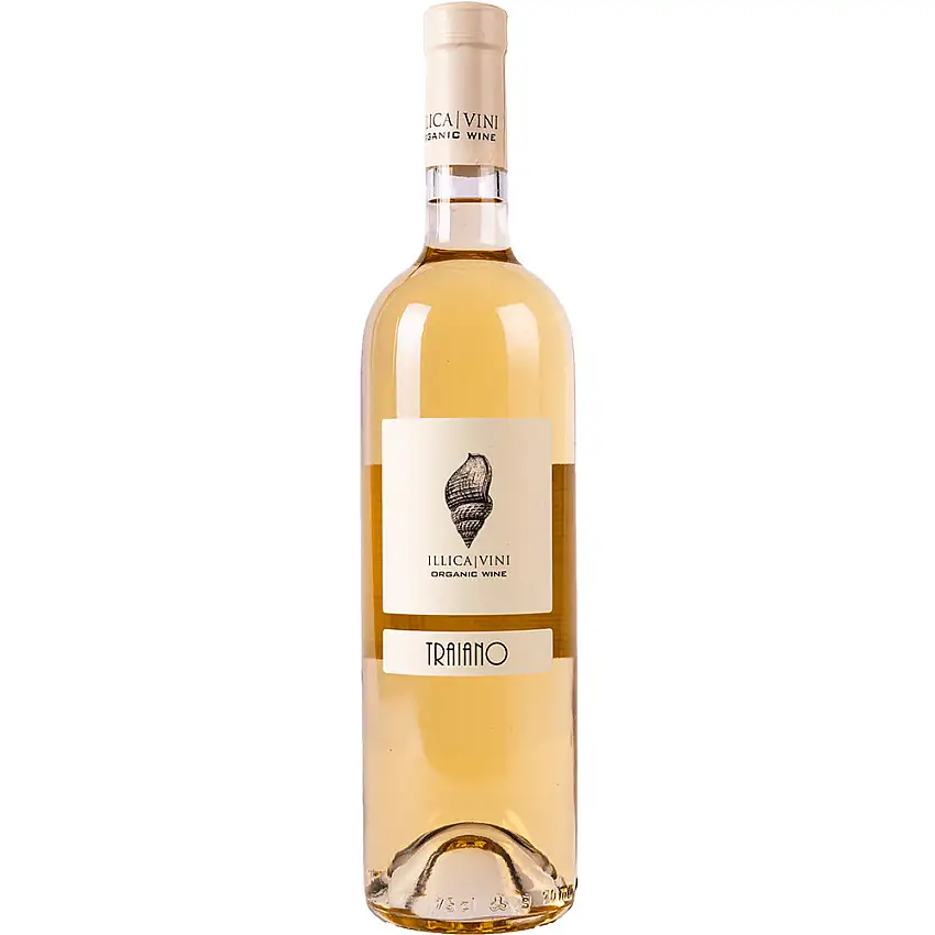 2021 Traiano trocken Bio - Azienda Vitivinicola Illica