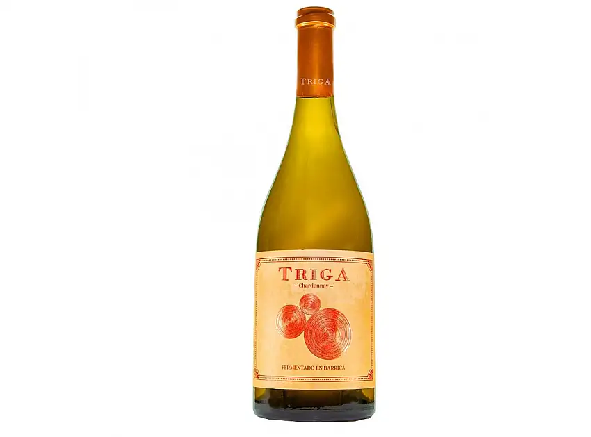 Triga Blanco 2024