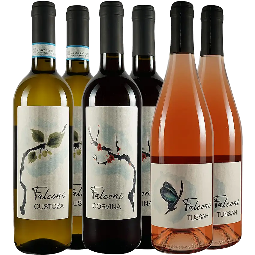 Falconi Liviana Venetien Kennenlern-Paket - Azienda Agricola Falconi Liviana
