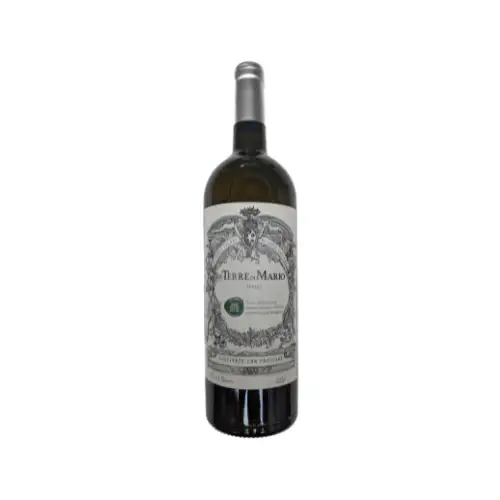 Terre di Mario Vino Bianco