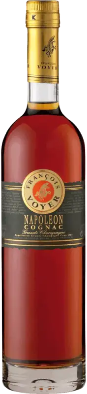 Francois Voyer Napoleon