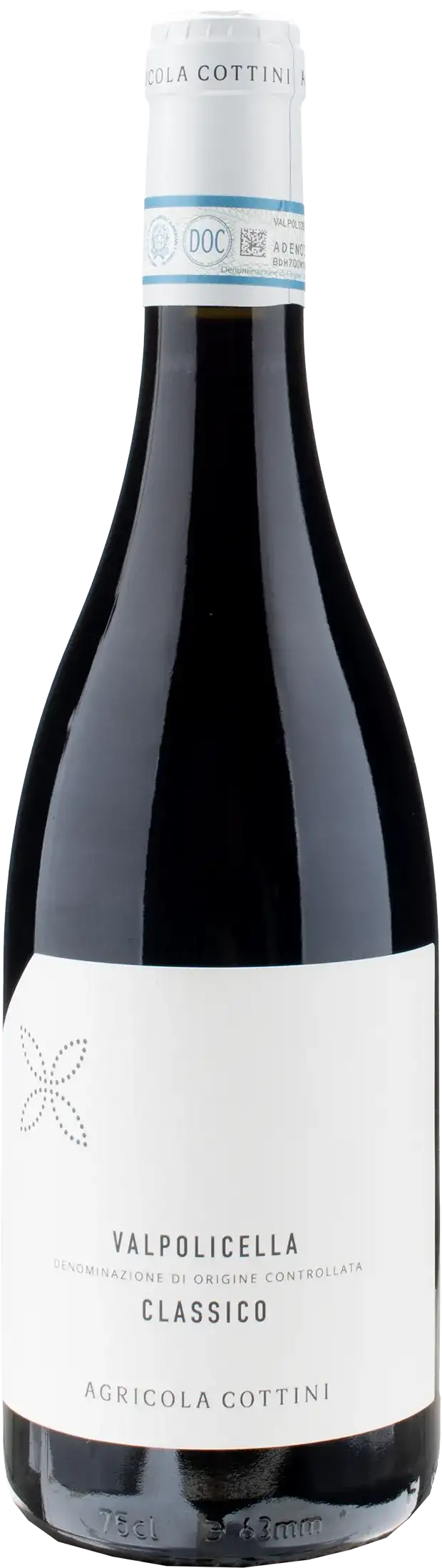 Agricola Cottini Valpolicella Classico 2023