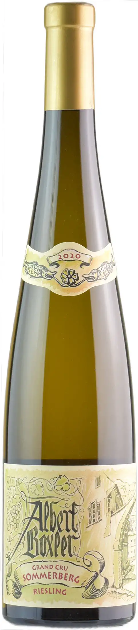 Albert Boxler Alsace Riesling Grand Cru Sommerberg JV 2020
