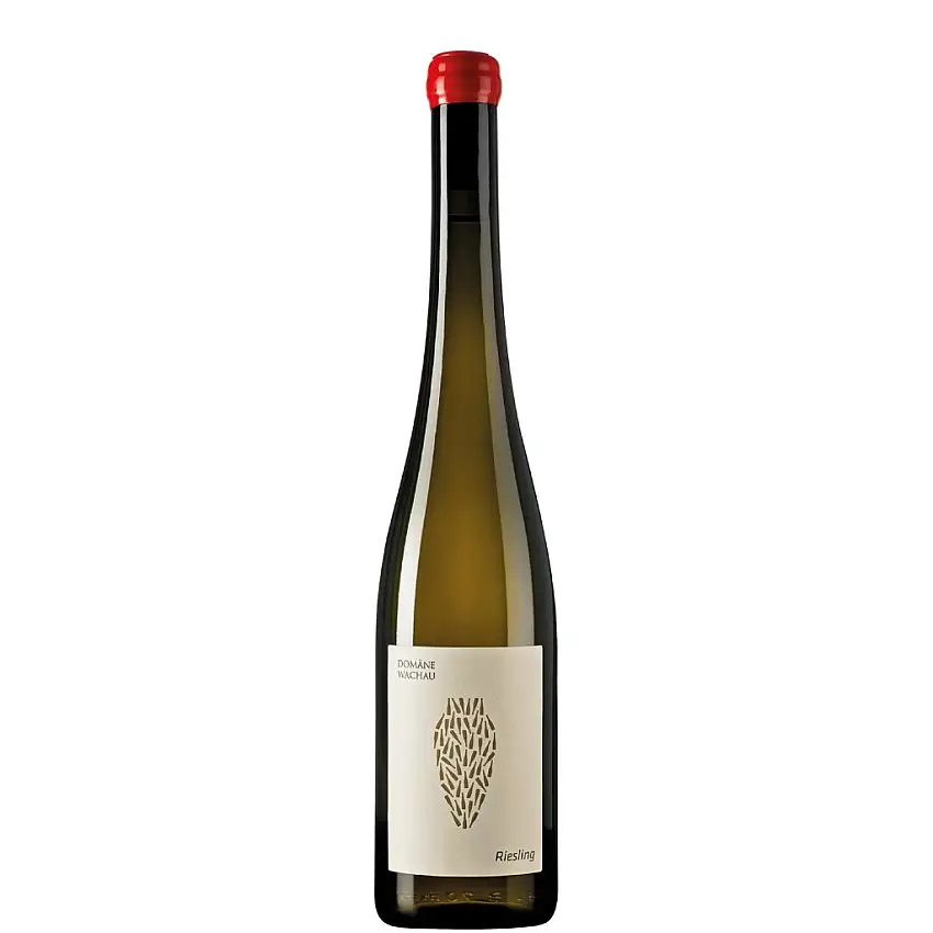 2022 Riesling Amphora trocken