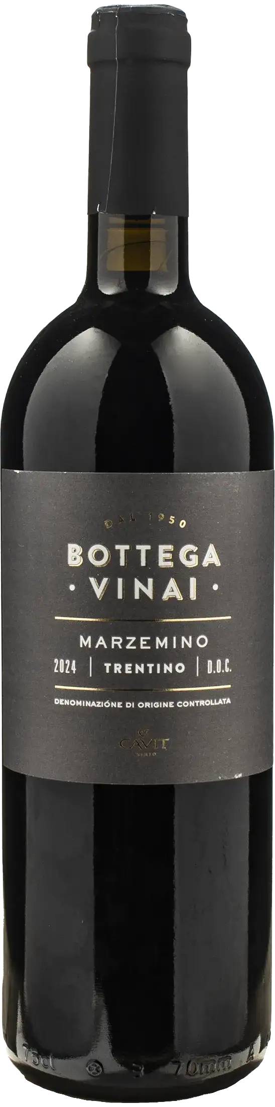 Bottega Vinai Marzemino 2024