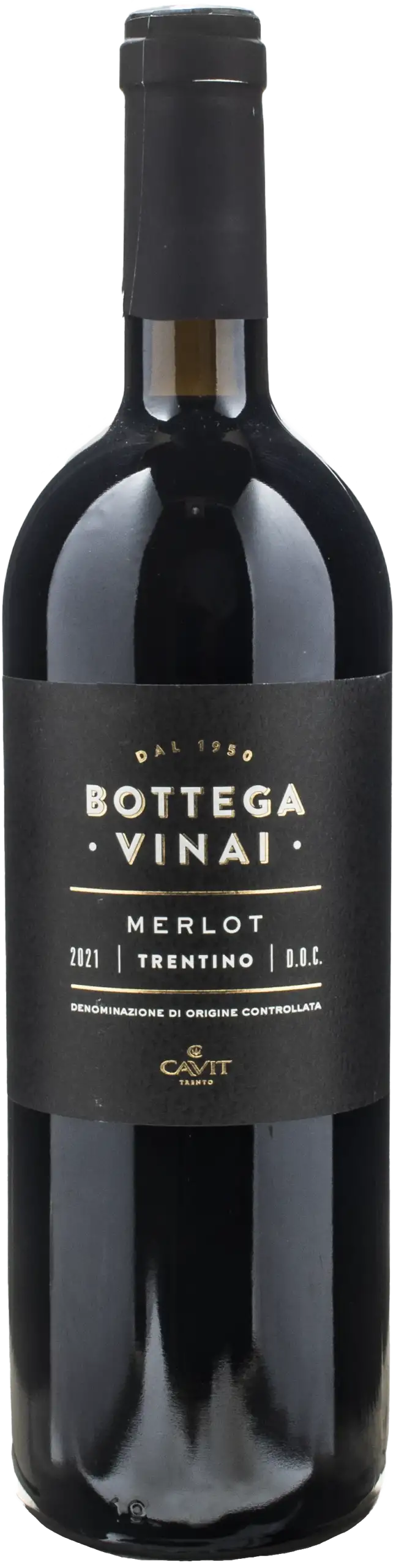 Bottega Vinai Merlot Trentino 2021