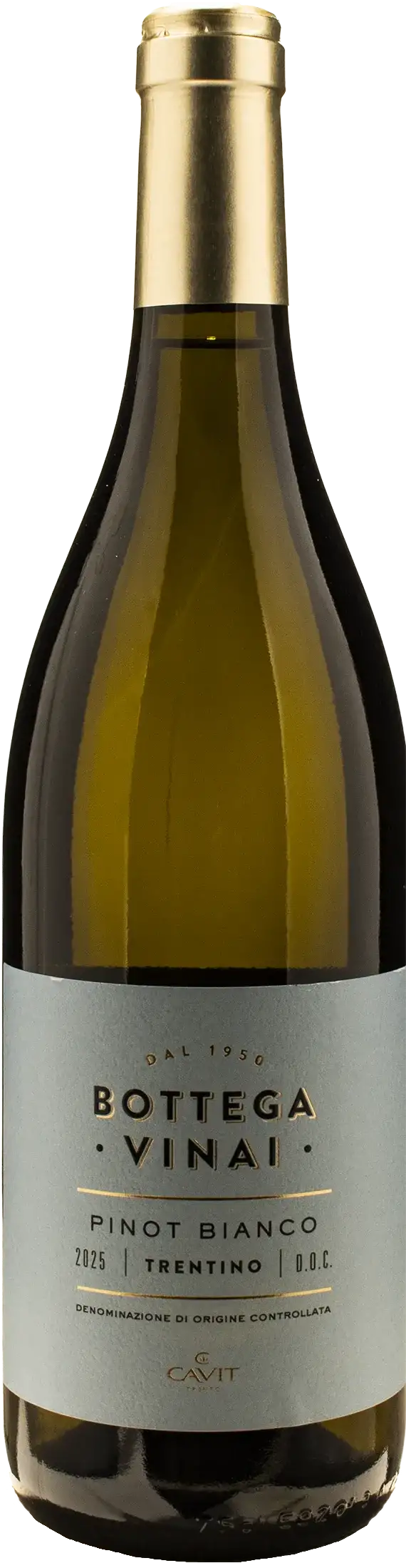 Bottega Vinai Pinot Bianco Trentino 2025