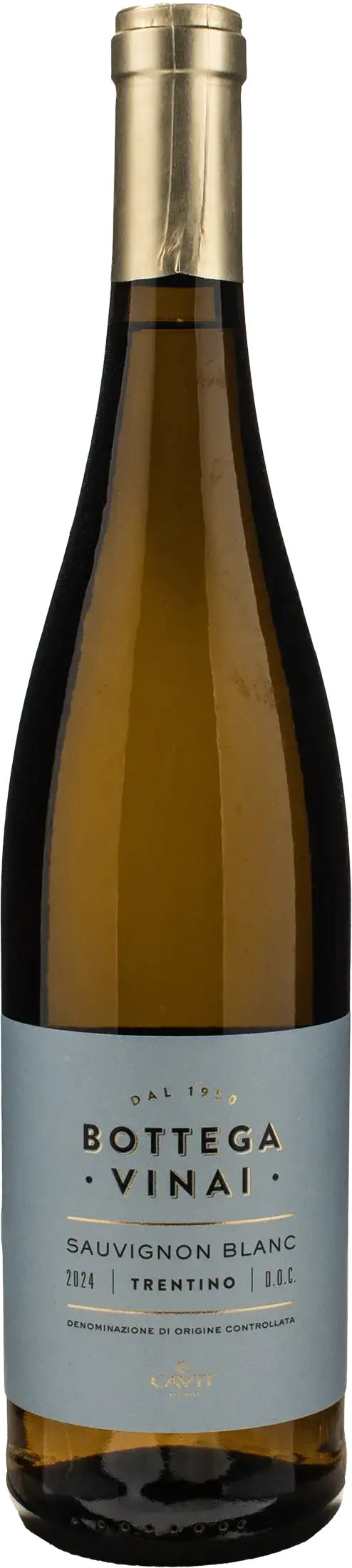 Bottega Vinai Sauvignon Blanc Trentino 2024