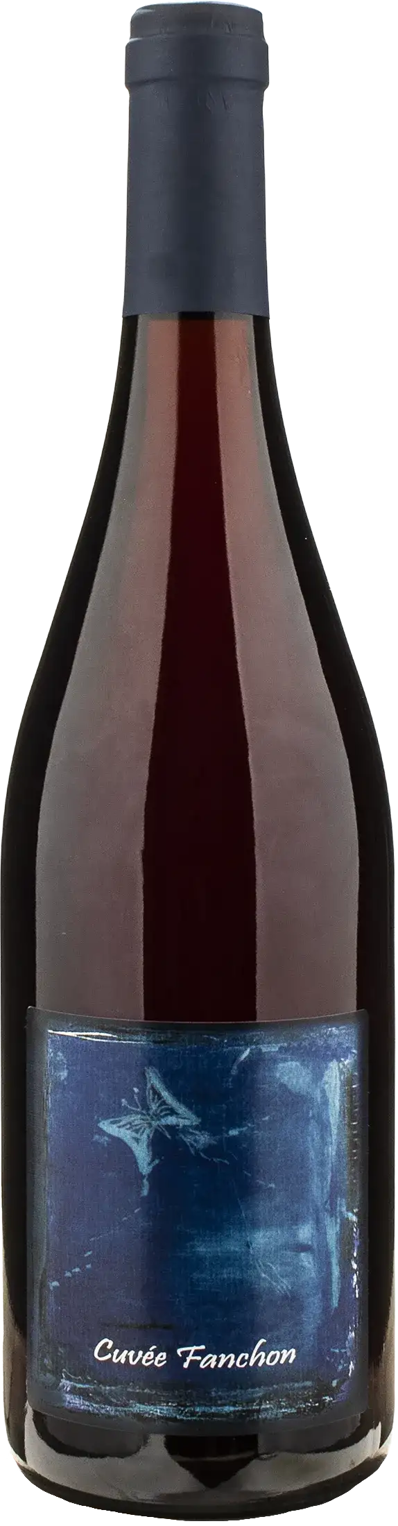 Guy Breton Beaujolais Cuvee Nouveau Fancon 2025