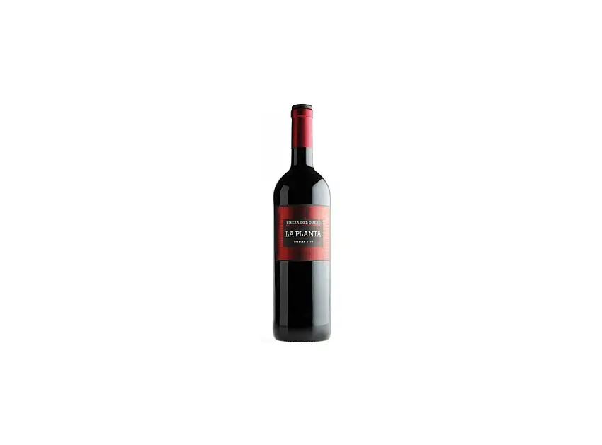 La Planta Magnum 2023