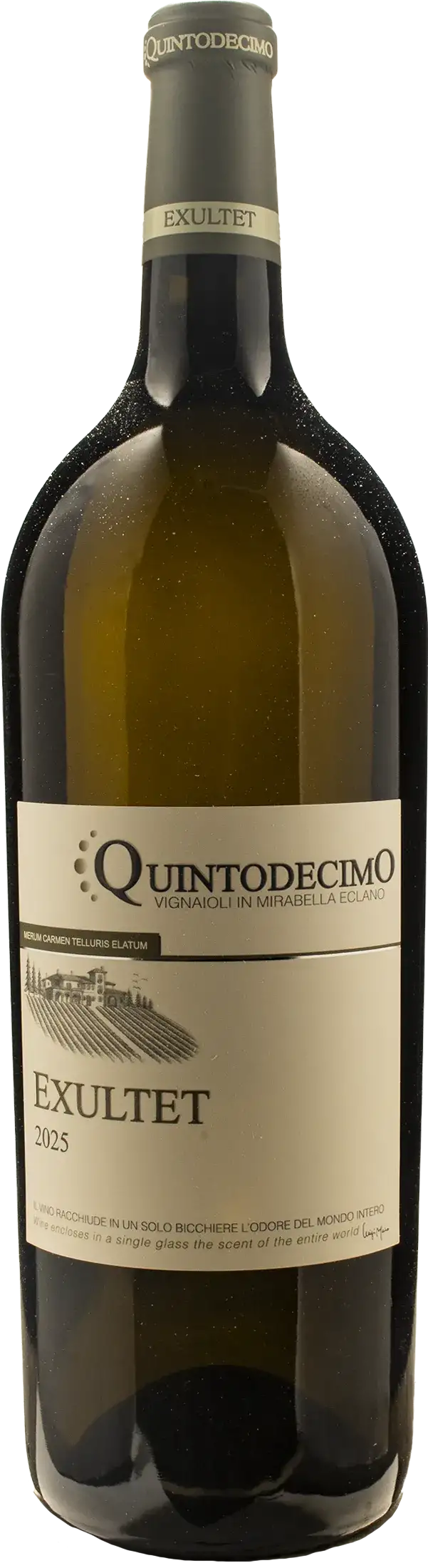 Quintodecimo Fiano di Avellino Exultet Magnum 2025