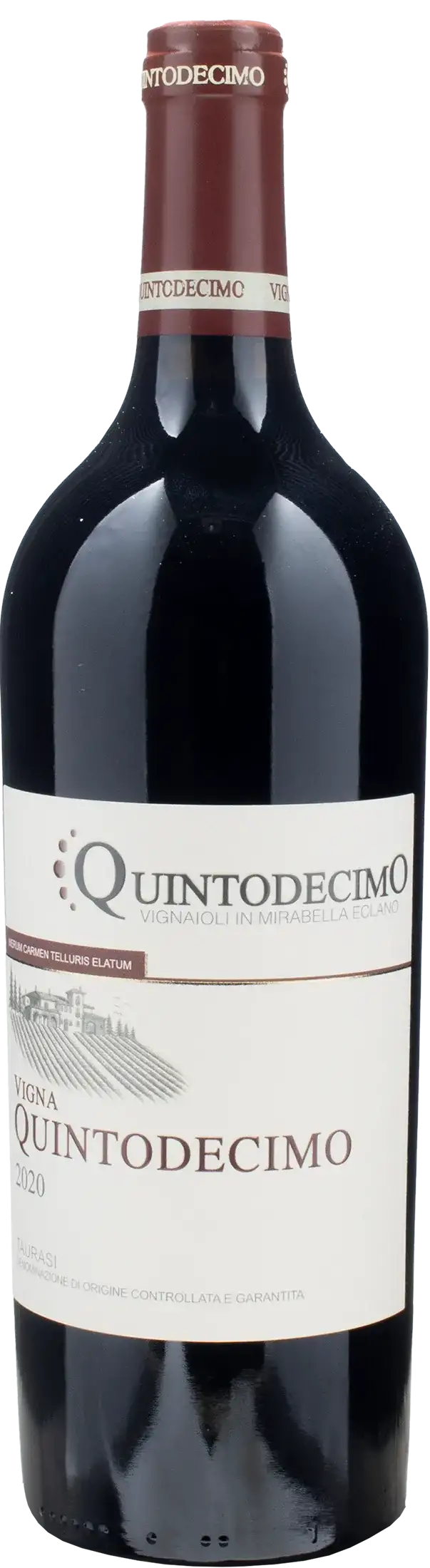 Quintodecimo Taurasi Vigna Quintodecimo 2020