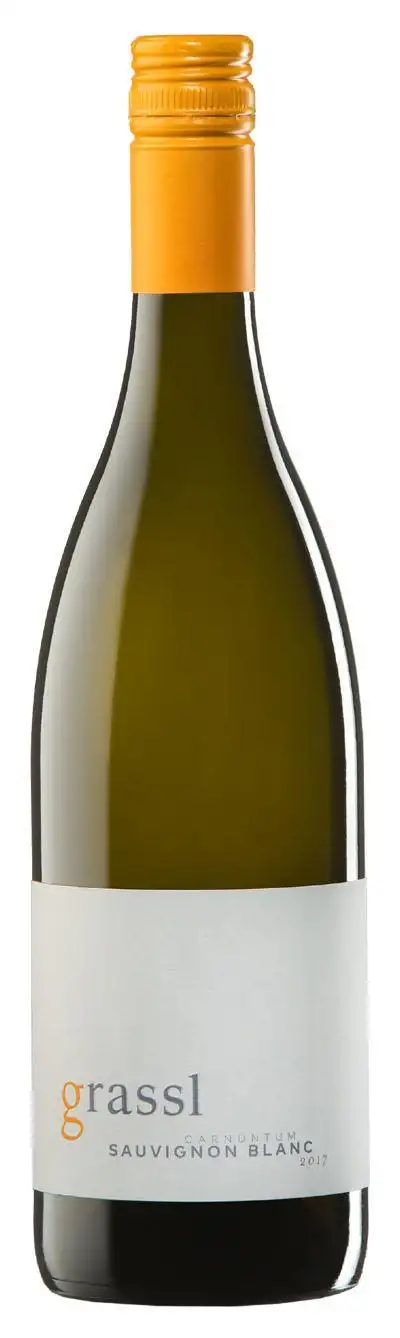 Sauvignon Blanc 2024 | Grassl Philipp | Bei Weingrube.com bestellen