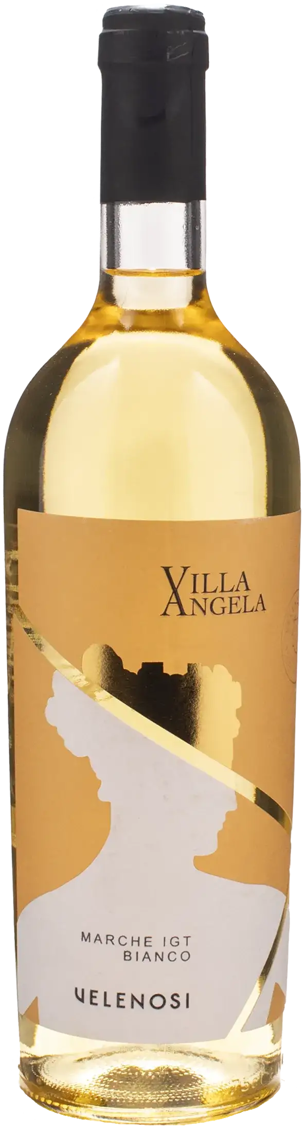 Velenosi Villa Angela Marche Garofanata 2024